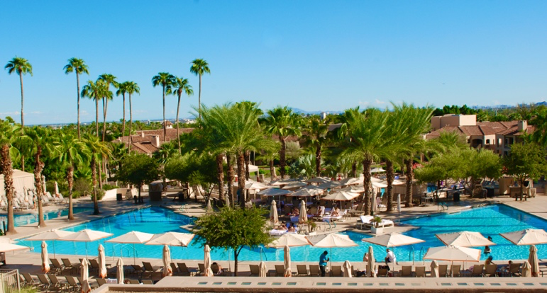 Phoenician Resort pool and palm trees