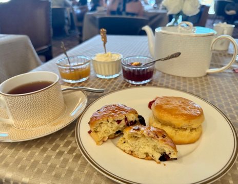 Freshly baked scones